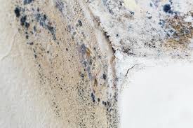 Best Residential Mold Inspection & Testing  in Paradise, CA